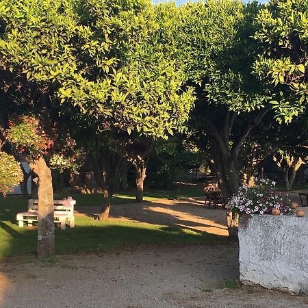 La Purissima Bed & Breakfast Alghero Dış mekan fotoğraf