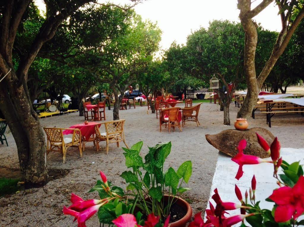 La Purissima Bed & Breakfast Alghero Dış mekan fotoğraf